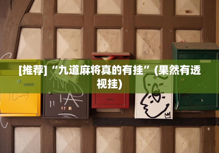 [推荐]“九道麻将真的有挂”(果然有透视挂)